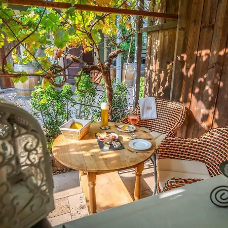 Boutique Im Ehem Weingut, Sauna, Hofgarten, Goldenes Fass * Meißen