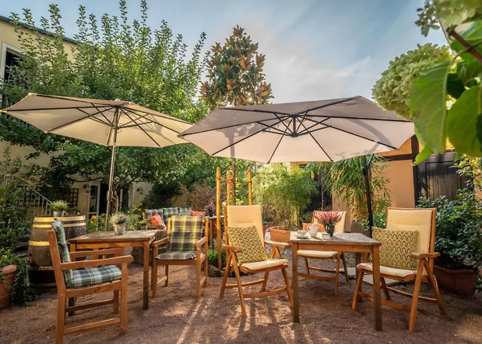 Boutique Im Ehem Weingut, Sauna, Hofgarten, Goldenes Fass Appartement